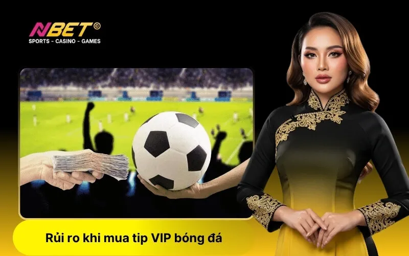 Rủi ro khi mua tip VIP bóng đá