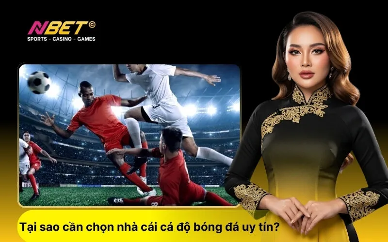 Tại sao cần chọn nhà cái cá độ bóng đá uy tín